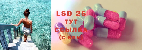индика Александровское